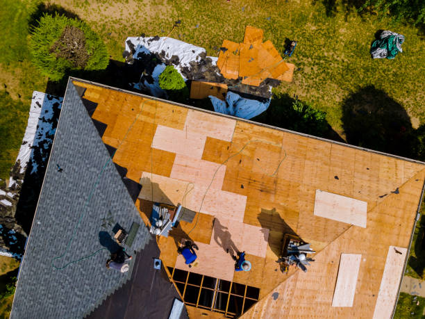 Best Metal Roofing Contractor  in Wortham, TX
